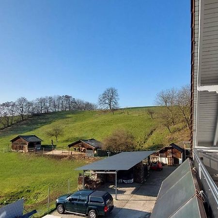 Grosse Tolle 4 Zimmer Ferienwohnung Im Herzen Des Odenwaldes Mörlenbach Buitenkant foto