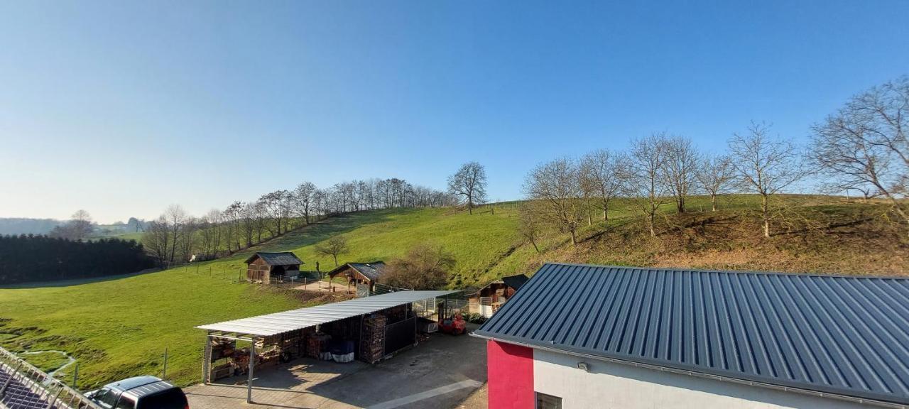 Grosse Tolle 4 Zimmer Ferienwohnung Im Herzen Des Odenwaldes Mörlenbach Buitenkant foto