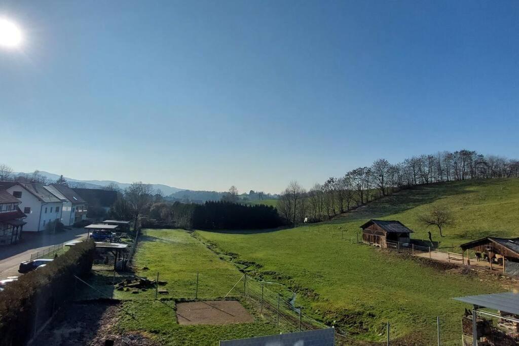Grosse Tolle 4 Zimmer Ferienwohnung Im Herzen Des Odenwaldes Mörlenbach Buitenkant foto
