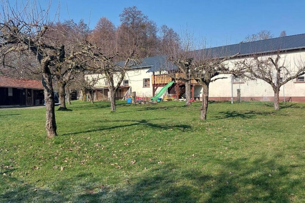 Grosse Tolle 4 Zimmer Ferienwohnung Im Herzen Des Odenwaldes Mörlenbach Buitenkant foto