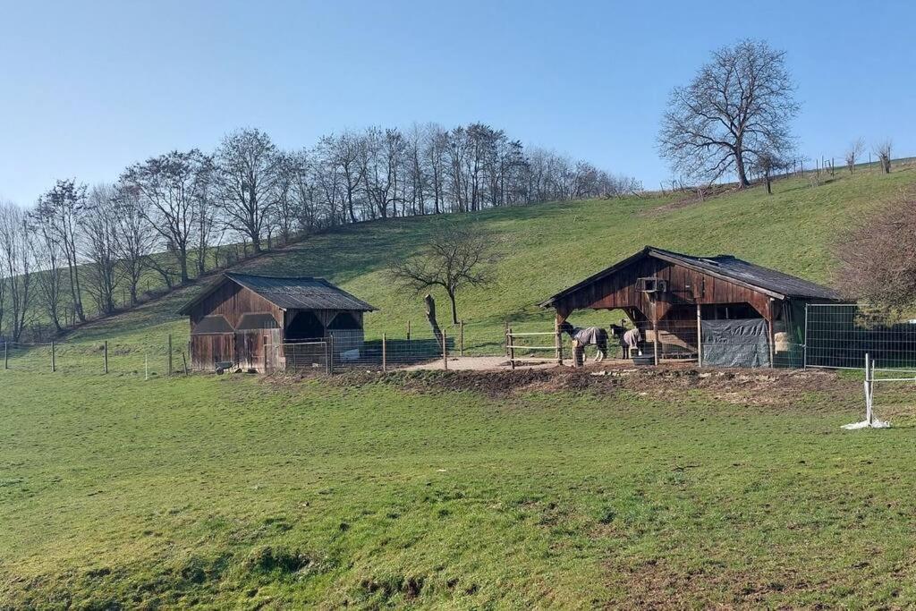 Grosse Tolle 4 Zimmer Ferienwohnung Im Herzen Des Odenwaldes Mörlenbach Buitenkant foto