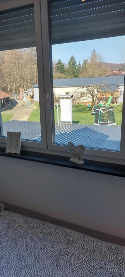 Grosse Tolle 4 Zimmer Ferienwohnung Im Herzen Des Odenwaldes Mörlenbach Buitenkant foto